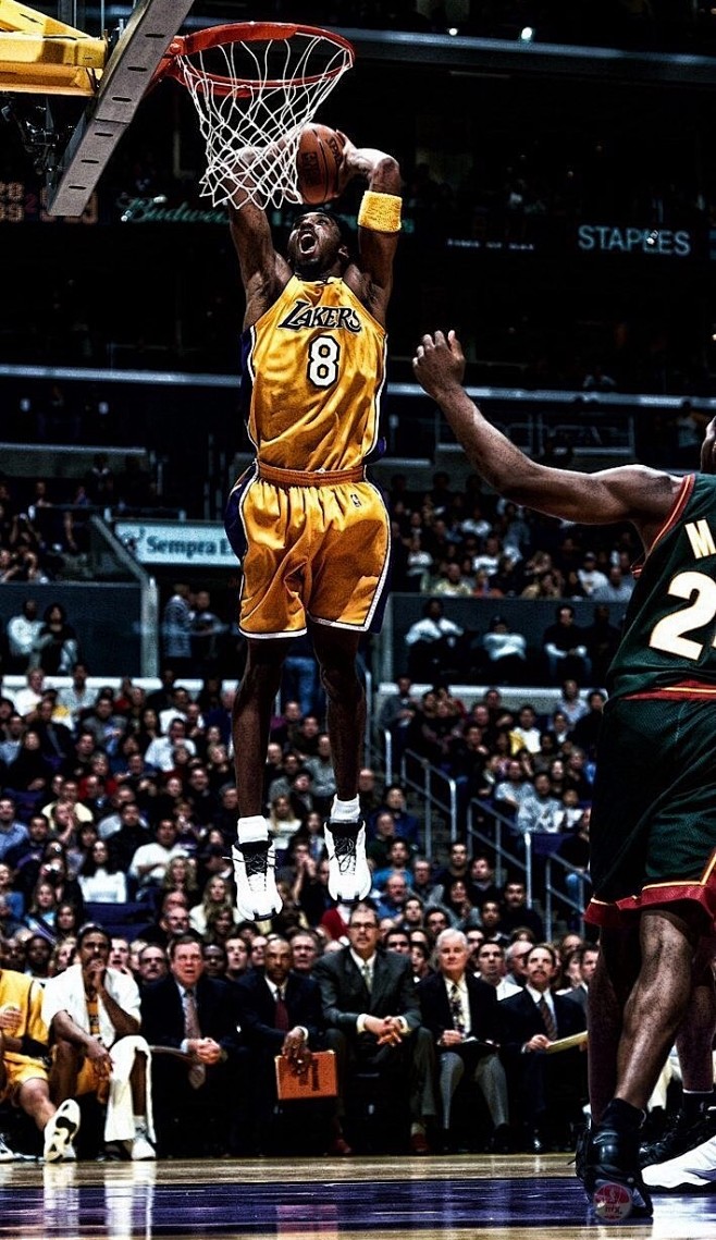 2026年世界排球联赛巅峰对决，中国男女排冲击奥运资格（2026年世界排球联赛上演巅峰之战，中国男女排力争奥运资格）